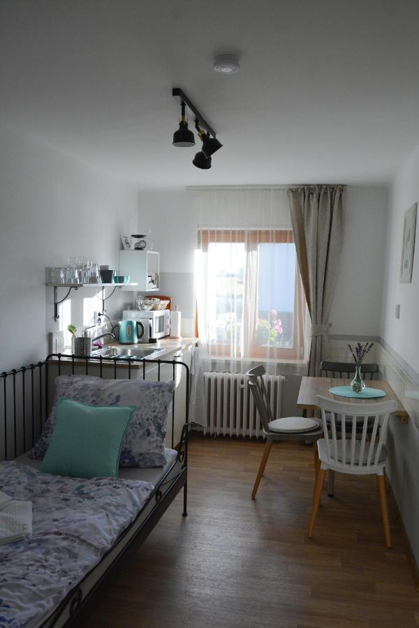 U Vaclava Apartment