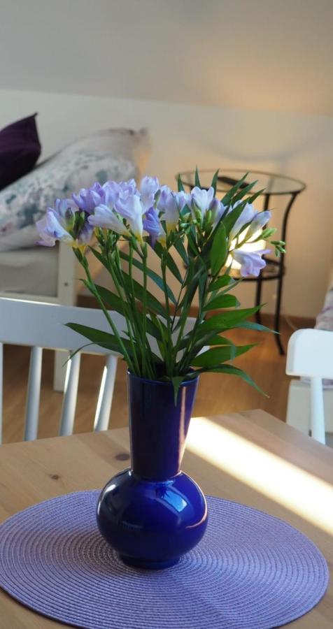Apartmán U Vaclava