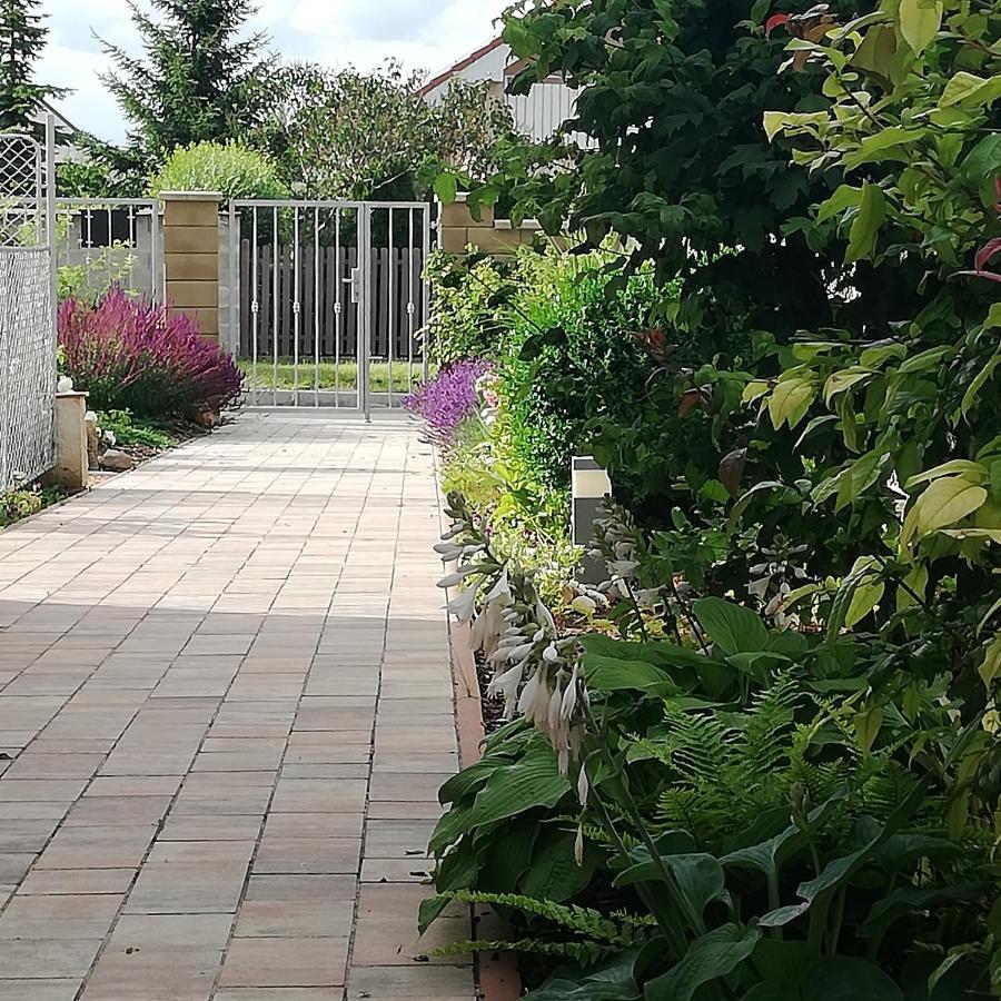 U Vaclava Appartement Kněževes