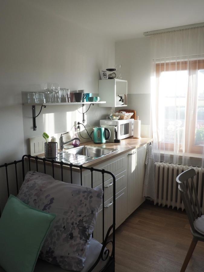 U Vaclava Appartement *