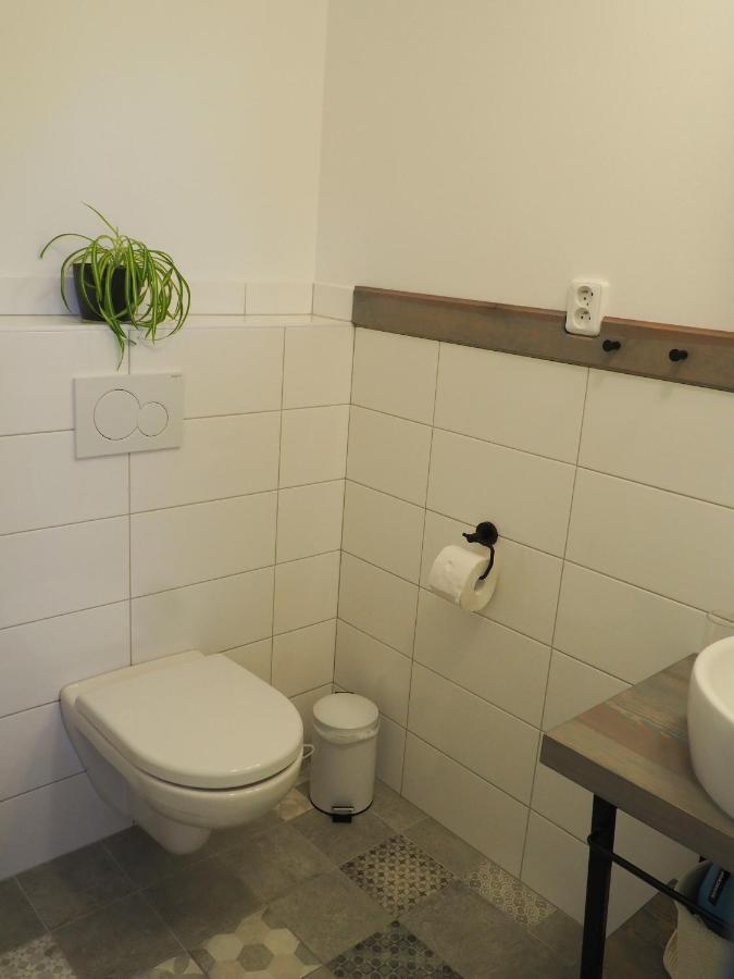 Apartmán U Vaclava Knezeves (Prague-West)