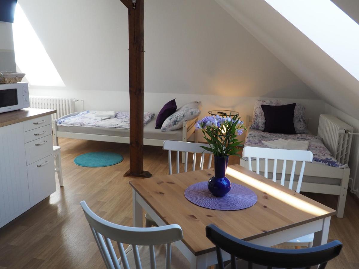 U Vaclava Appartement *