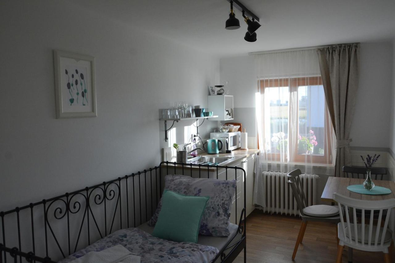 U Vaclava Appartement Kněževes
